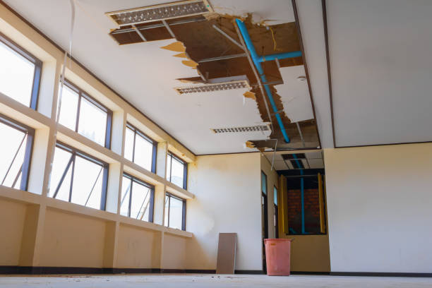 Best Local water damage restoration  in Flora, MS