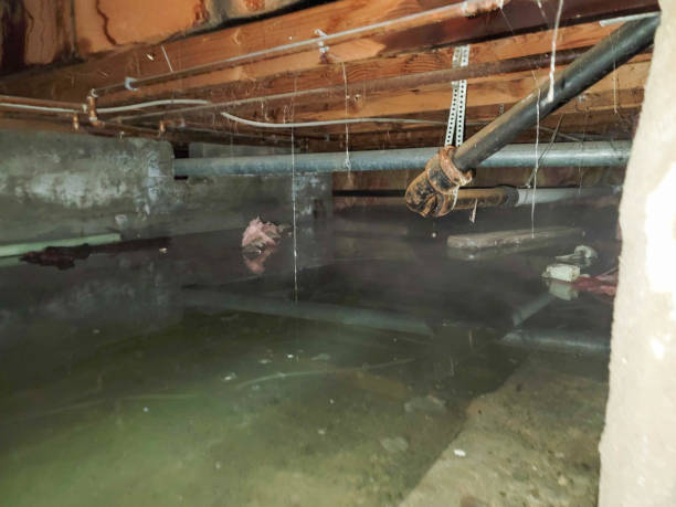 Best Water damage restoration insurance claims  in Flora, MS