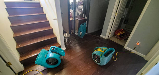 Best Carpet water damage restoration  in Flora, MS