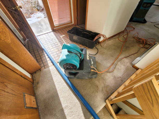 Professional Water damage restoration in MS