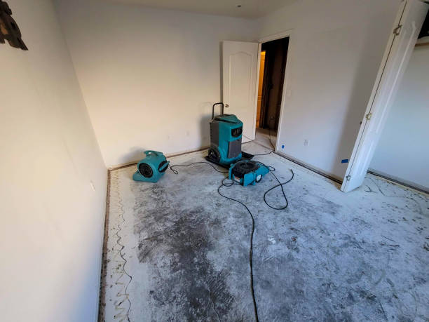 Best Local water damage restoration  in Flora, MS