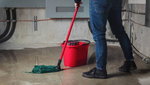 Best Ceiling water damage repair  in Flora, MS