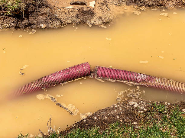 Best Water damage contractors near me  in Flora, MS