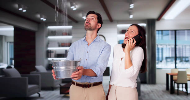 Best Mold removal after water damage  in Flora, MS